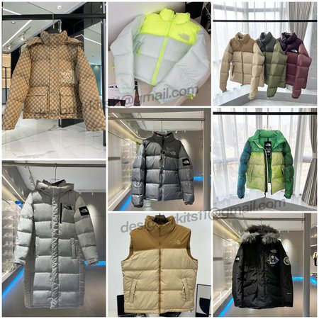 The North Face winter down jacket woman vest